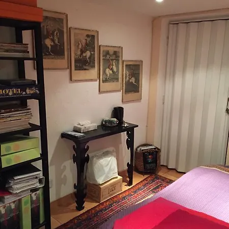Svetlana Apartment