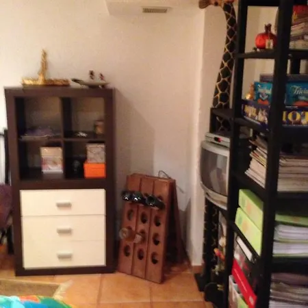 Svetlana Apartment